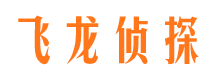 大化资产调查